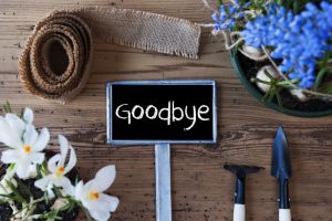 Burton Beavan | Gardening leave